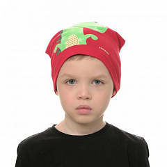 Шапка для мальчика