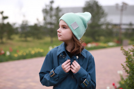 Шапка Андерсен 12325шд33